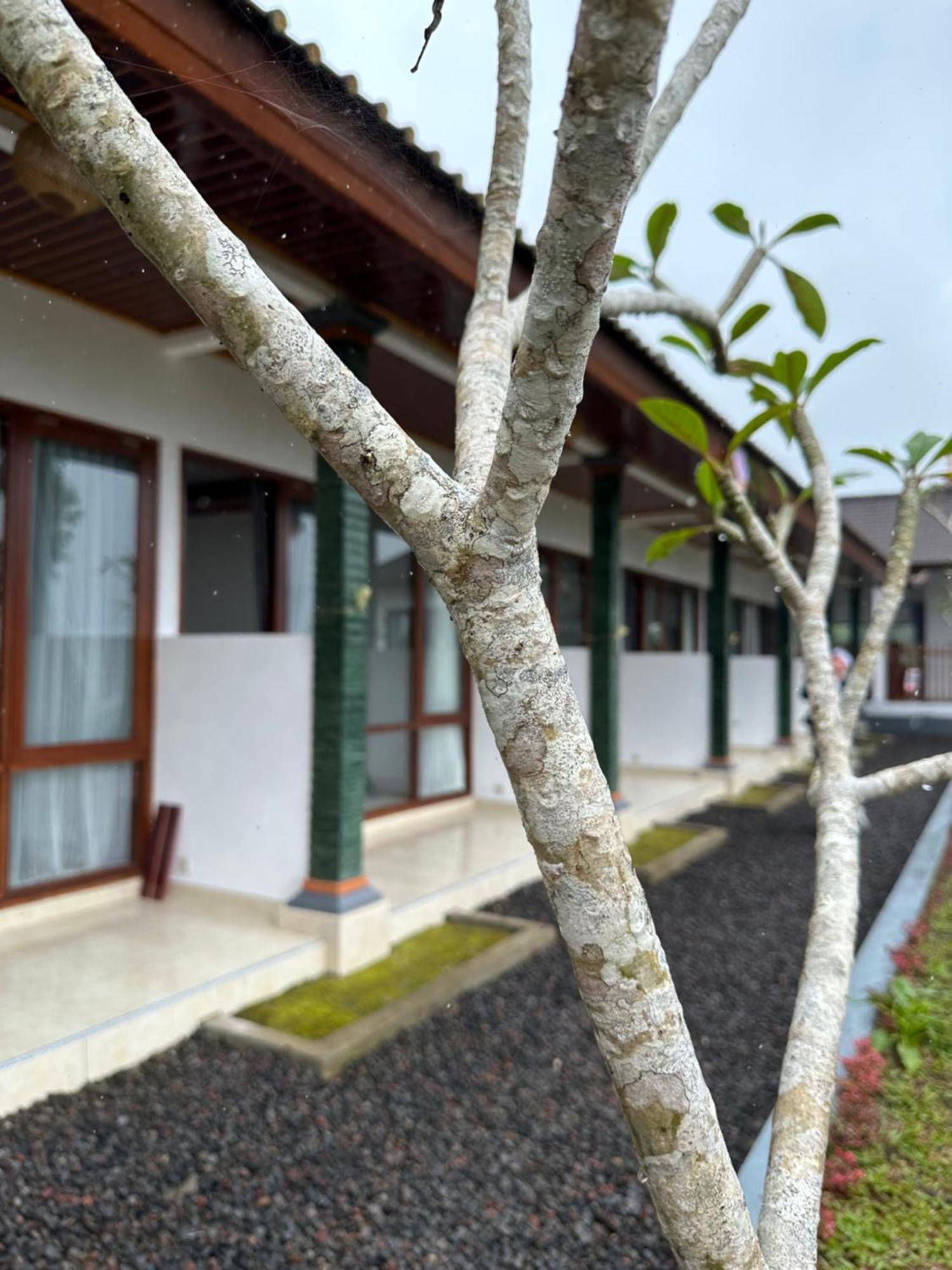 شقة Bali Basuki Retreat Center Besakih المظهر الخارجي الصورة